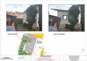 1770917804375146636-picture.jpg